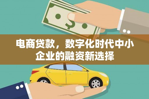 尼玛电商贷款，数字化时代中小企业的融资新选择