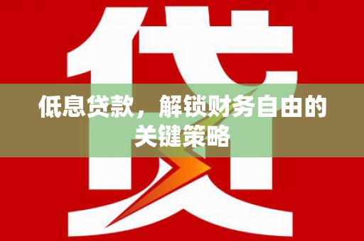 尼玛低息贷款，解锁财务自由的关键策略