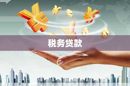 尼玛税务贷款