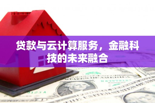 尼玛贷款与云计算服务，金融科技的未来融合