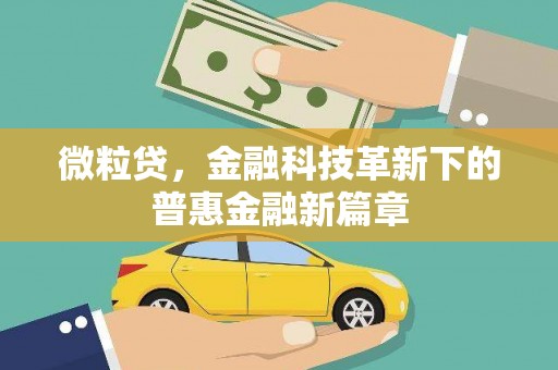 尼玛微粒贷，金融科技革新下的普惠金融新篇章