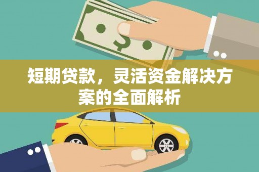 尼玛短期贷款，灵活资金解决方案的全面解析