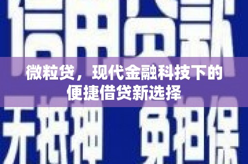 尼玛微粒贷，现代金融科技下的便捷借贷新选择