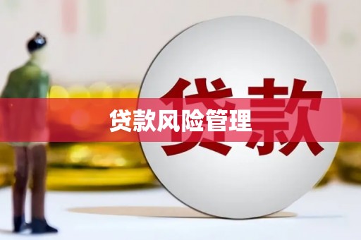 尼玛贷款风险管理