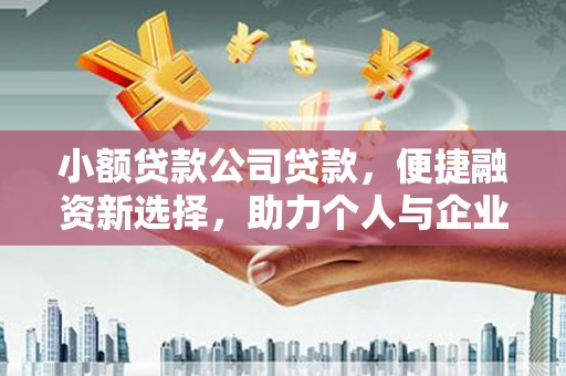 尼玛小额贷款公司贷款，便捷融资新选择，助力个人与企业成长
