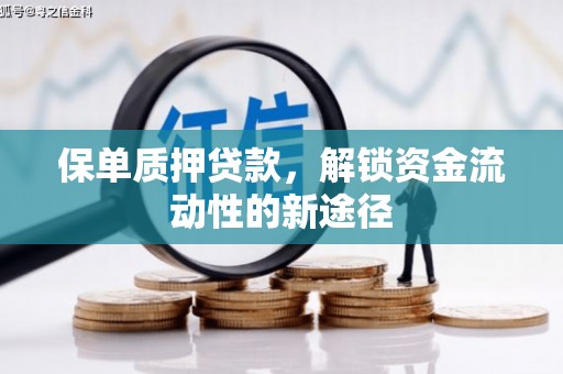 尼玛保单质押贷款，解锁资金流动性的新途径