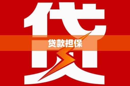 尼玛贷款担保