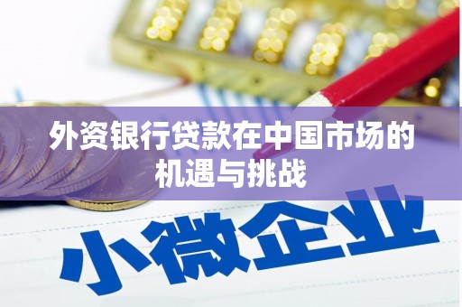 尼玛外资银行贷款在中国市场的机遇与挑战