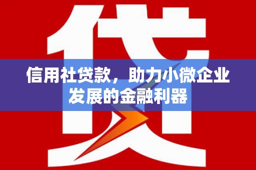 尼玛信用社贷款，助力小微企业发展的金融利器