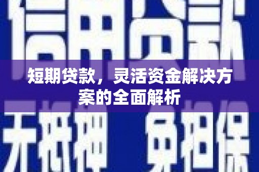 尼玛短期贷款，灵活资金解决方案的全面解析