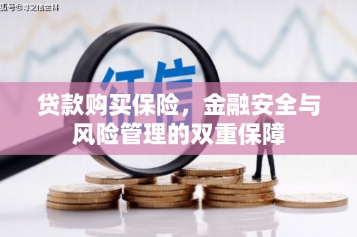 尼玛贷款购买保险，金融安全与风险管理的双重保障