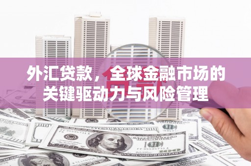尼玛外汇贷款，全球金融市场的关键驱动力与风险管理