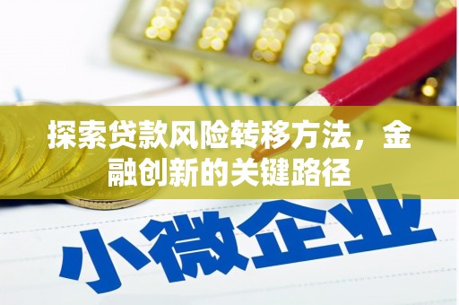 尼玛探索贷款风险转移方法，金融创新的关键路径