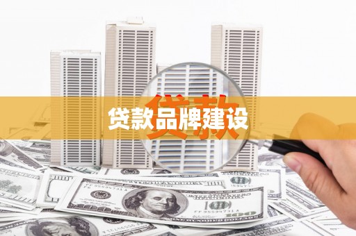 尼玛贷款品牌建设