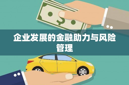 尼玛企业发展的金融助力与风险管理
