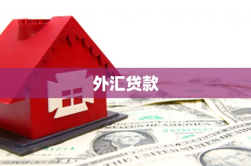 尼玛外汇贷款