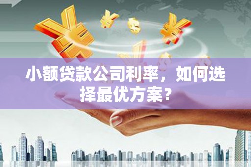 尼玛小额贷款公司利率，如何选择最优方案？