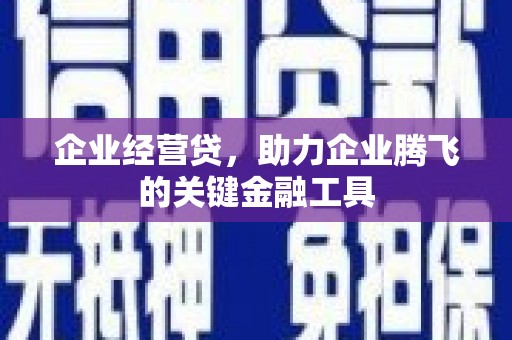 尼玛企业经营贷，助力企业腾飞的关键金融工具