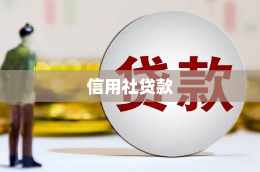 尼玛信用社贷款