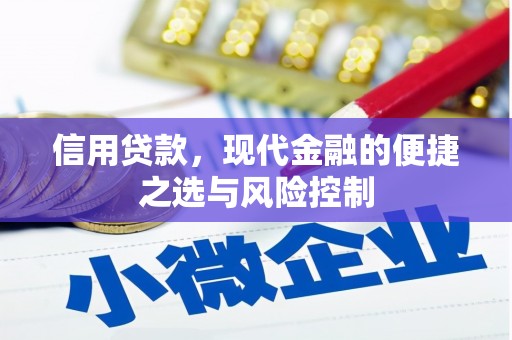 尼玛信用贷款，现代金融的便捷之选与风险控制
