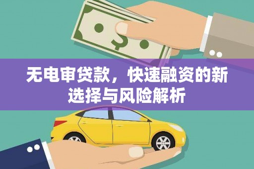 尼玛无电审贷款，快速融资的新选择与风险解析