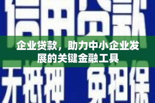 尼玛企业贷款，助力中小企业发展的关键金融工具