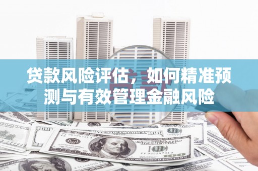 尼玛贷款风险评估，如何精准预测与有效管理金融风险