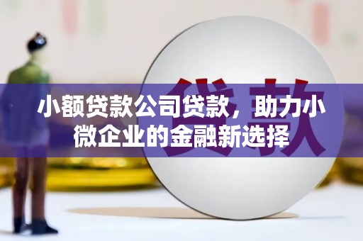 尼玛小额贷款公司贷款，助力小微企业的金融新选择