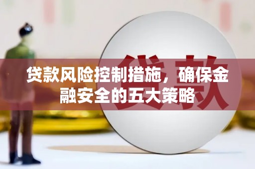尼玛贷款风险控制措施，确保金融安全的五大策略