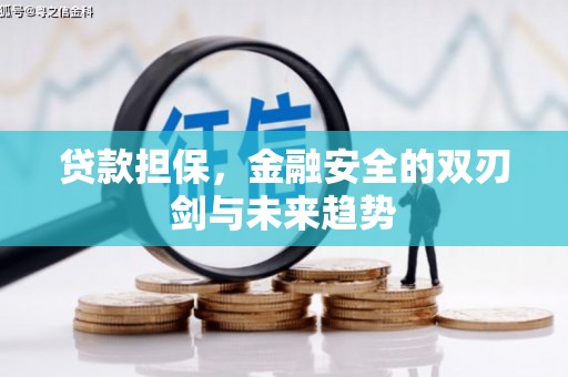 尼玛贷款担保，金融安全的双刃剑与未来趋势