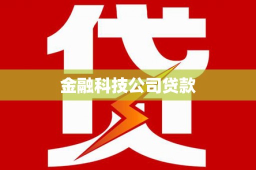 尼玛金融科技公司贷款