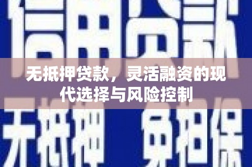 尼玛无抵押贷款，灵活融资的现代选择与风险控制