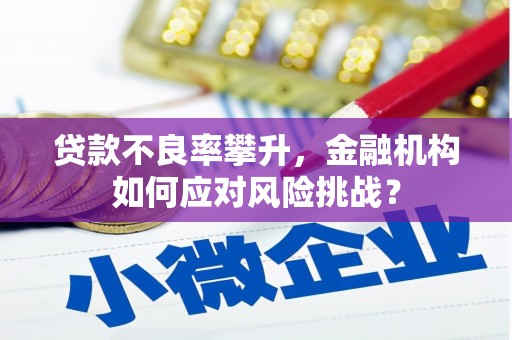 尼玛贷款不良率攀升，金融机构如何应对风险挑战？