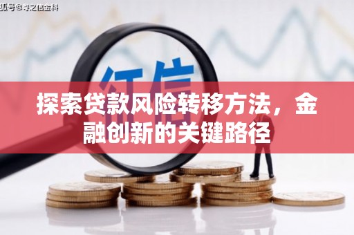 尼玛探索贷款风险转移方法，金融创新的关键路径