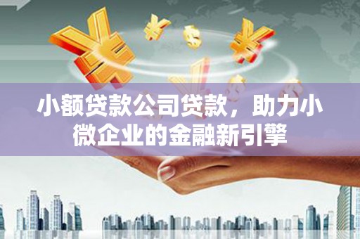 尼玛小额贷款公司贷款，助力小微企业的金融新引擎