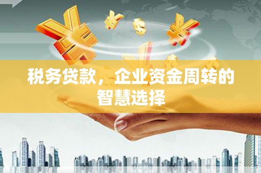 尼玛税务贷款，企业资金周转的智慧选择
