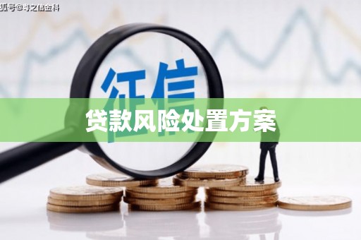 尼玛贷款风险处置方案