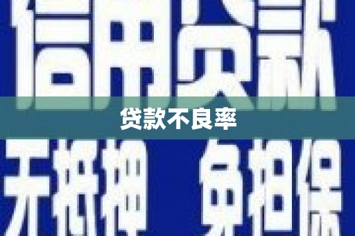 尼玛贷款不良率