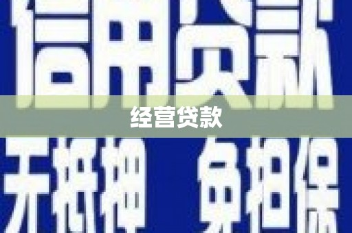 尼玛经营贷款