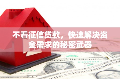 尼玛不看征信贷款，快速解决资金需求的秘密武器