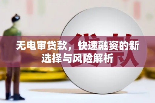 尼玛无电审贷款，快速融资的新选择与风险解析
