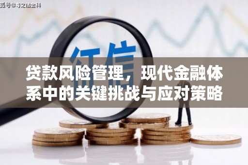尼玛贷款风险管理，现代金融体系中的关键挑战与应对策略