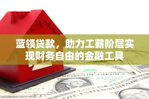 尼玛蓝领贷款，助力工薪阶层实现财务自由的金融工具