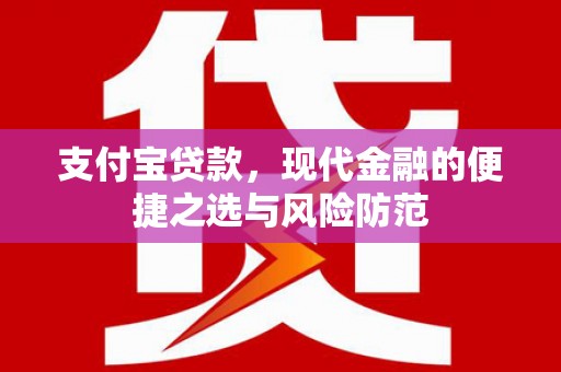 尼玛支付宝贷款，现代金融的便捷之选与风险防范