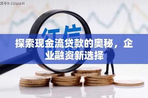 尼玛探索现金流贷款的奥秘，企业融资新选择