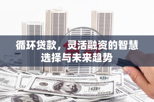 尼玛循环贷款，灵活融资的智慧选择与未来趋势