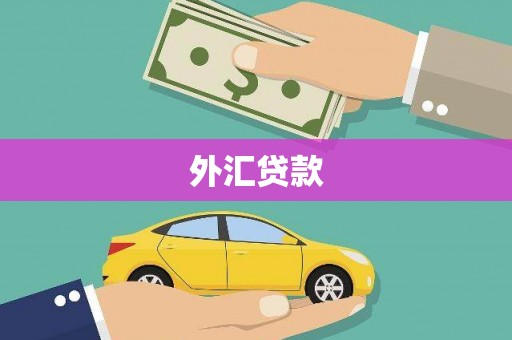 尼玛外汇贷款