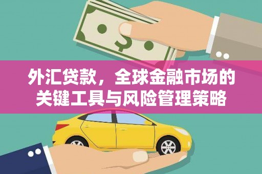尼玛外汇贷款，全球金融市场的关键工具与风险管理策略