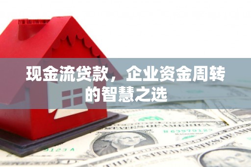 尼玛现金流贷款，企业资金周转的智慧之选