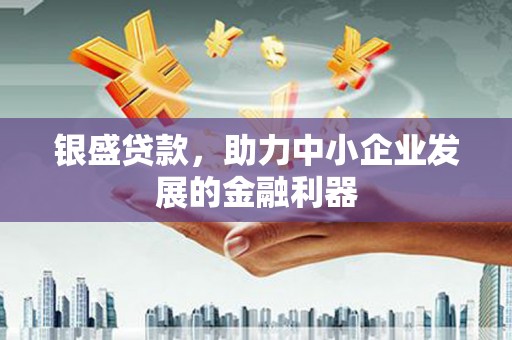 尼玛银盛贷款，助力中小企业发展的金融利器